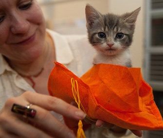 Nearly 300 kittens have graduated from the ASPCA's new kitten nursery during this year's kitten season.