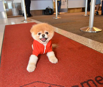 Boo for Virgin America
