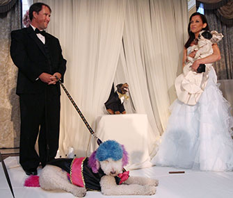 The happy couple pose at their wedding ceremony, which was officiated by Triumph the Insult Comic Dog.
