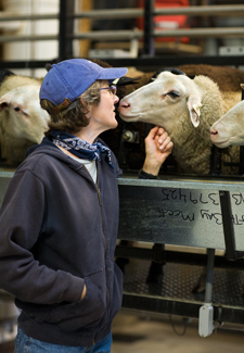 Marcia Barinaga with her sheep
