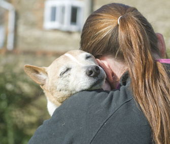 Hugging a dog