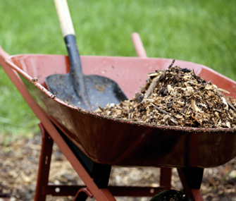 wheelbarrow full of mulch