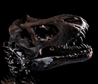 T-Rex