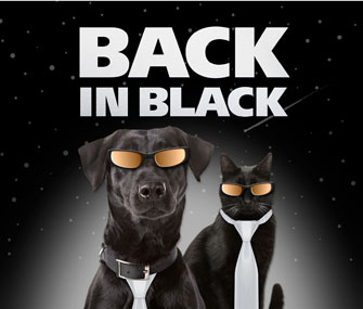 Back in Black Campaign Poster