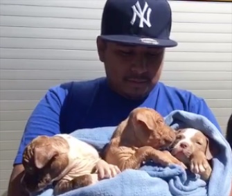 Firefighters in Oklahoma City saved six puppies from a hole under a house.