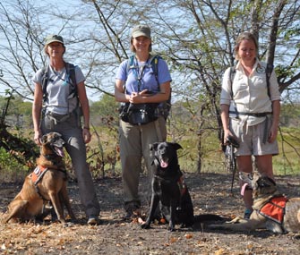 volunteers and three dogs