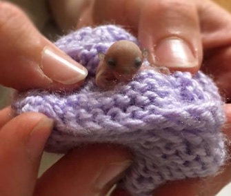 An orphaned glider joey is getting 24/7 care at an Australian wildlife hospital.