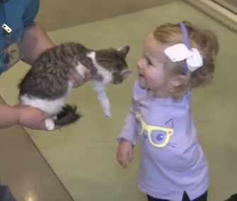 Scarlette, a 2-year-old amputee, meets her adopted kitten, Doc.