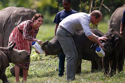 Prince William and Kate feed baby rhinos and elephants
