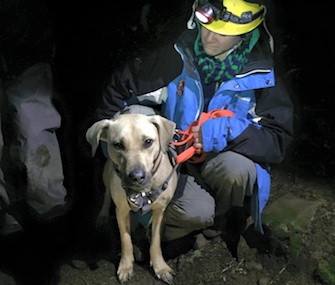 Dr. Emily Amsler, a volunteer with the Oregon Humane Society, checks Sandy after her rescue on Christmas night.