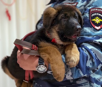 Russian soldiers brought 7-month-old Dobrynya to the French embassy in Moscow Monday.