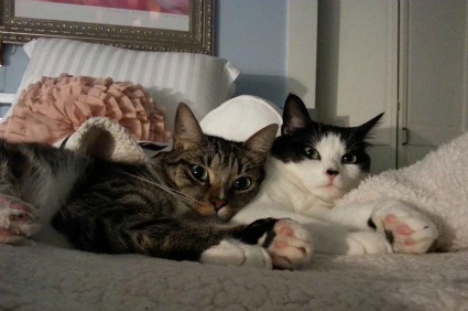 Yin-Yang and Artemis
