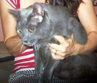 Sam was rescued by an animal welfare worker after surviving for two days in the Everglades.