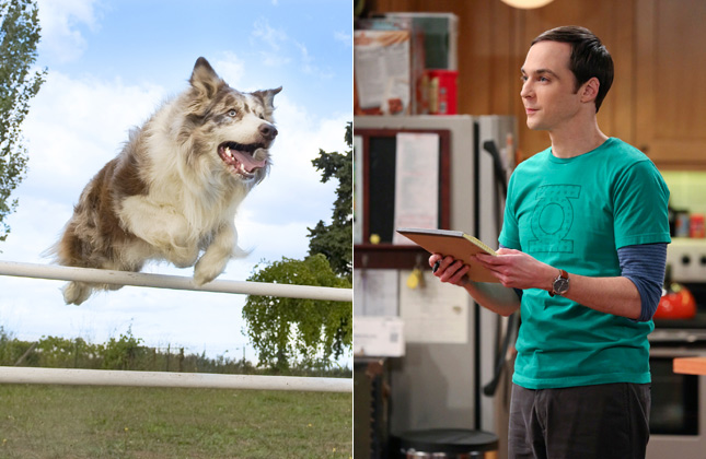 Big Bang Theory