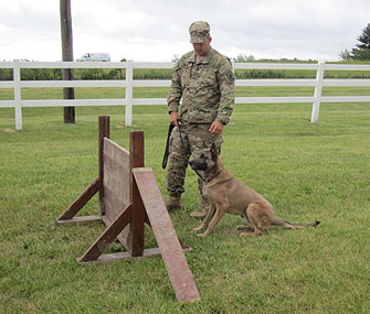 Alpha Dog at Hurdle