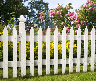Fenced Yard