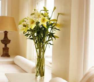 Day lilies
