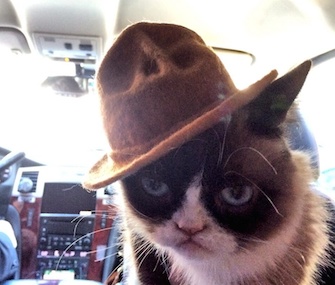 Grumpy Cat sports a mini Pharrell hat on the way to the MTV Movie Awards.