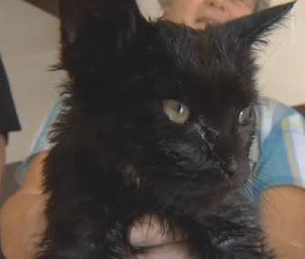 Trouble the kitten was rescued from a garage drain near Pittsburgh.