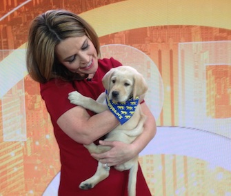 Today anchor Savannah Guthrie cuddles with a guide dog puppy.