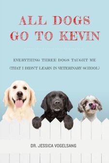 all dogs go to kevin book