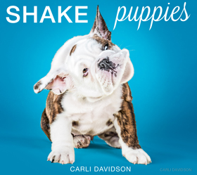 Shake Puppies Book Cover