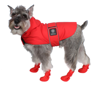 dog in rain coat and boots