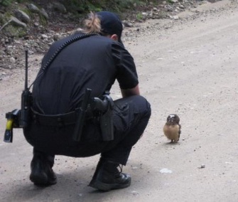Deputy talks to owlet in Colorado