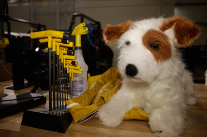 Center for Pet Safety dog dummy