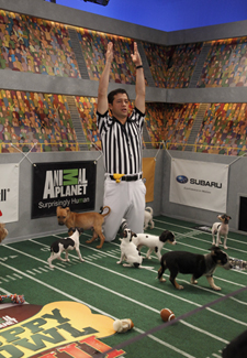 Ref and Puppy Bowl