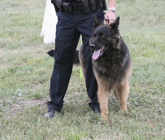 Police dog