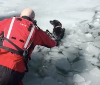 A rescue crew used an airboat to save Sadie after she'd been stranded on an ice patch in Utah for days.