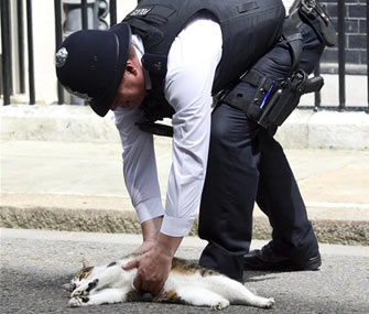 A police officer moves Larry the cat from in front of No. 10 Downing Street.