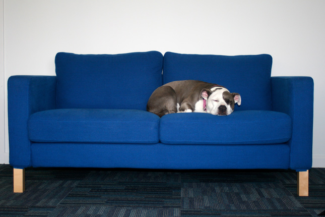 Baby on the couch