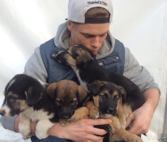 U.S. freeskier Gus Kenworthy pledged to help a litter of stray puppies he found in Russia