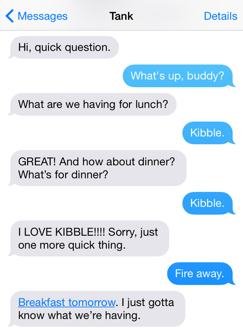 Text From Pet