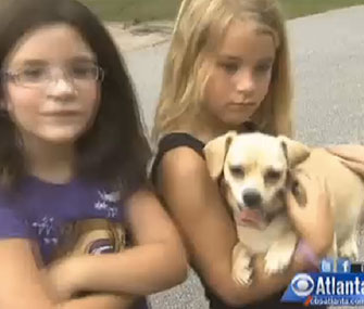 Bell, a 3-year-old Chihuahua, is being credited with sniffing out three missing girls in the woods.