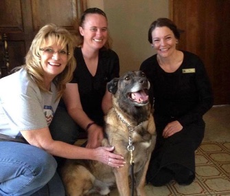 Blackie, who served in Afghanistan, is safely back at his adoptive home in Colorado thanks to the volunteers who searched for him.