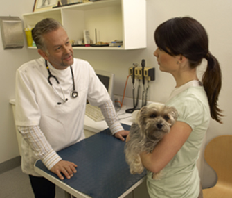 Communicating With Vet