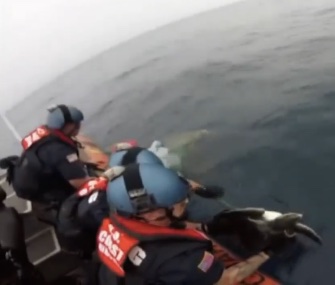 The U.S. Coast Guard rescued and released two entangled sea turtles off the coast of California.
