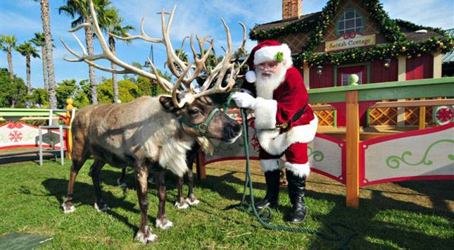 Santa at SeaWorld