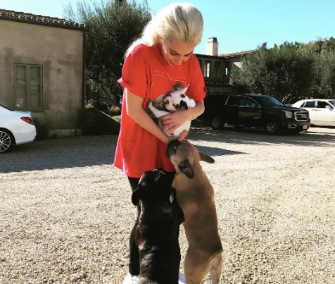 Lady Gaga introduced her new puppy on Instagram this week.