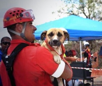 Underdog was rescued from a 700-foot deep hole in South Africa.