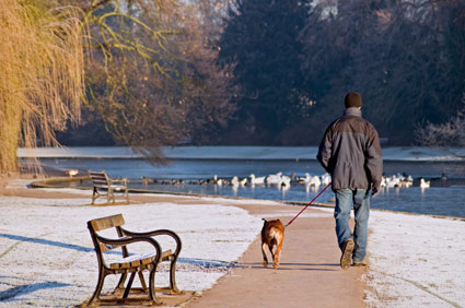 Man walking dog in winter