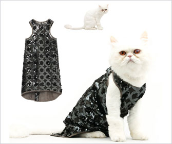 cat in sequin dress