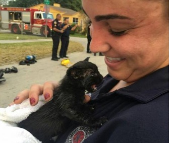 Smokey, a 3-week-old kitten, was rescued from a fire that engulfed a duplex in Miami.