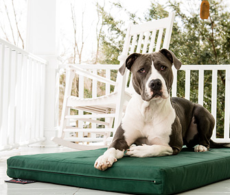 Ninja Dog Smart Bed