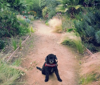 Molly poses in the Dogpatch neighborhood of San Francisco