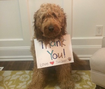 Tucker was thankful to firefighters in Herriman, Utah, for saving him from an icy pond.