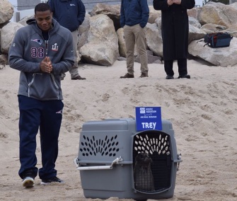 Patriots defender Trey Flowers was on hand for the release of a rehabilitated seal who was named for him.